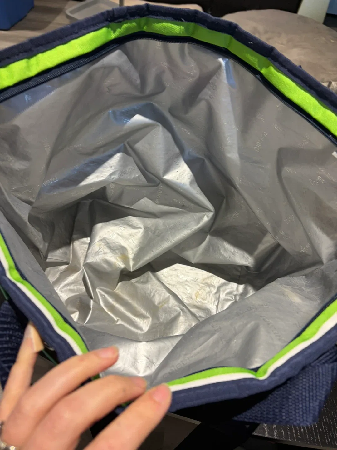 Thirty-One Insulated Cooler Tote Bag image indicator(2)