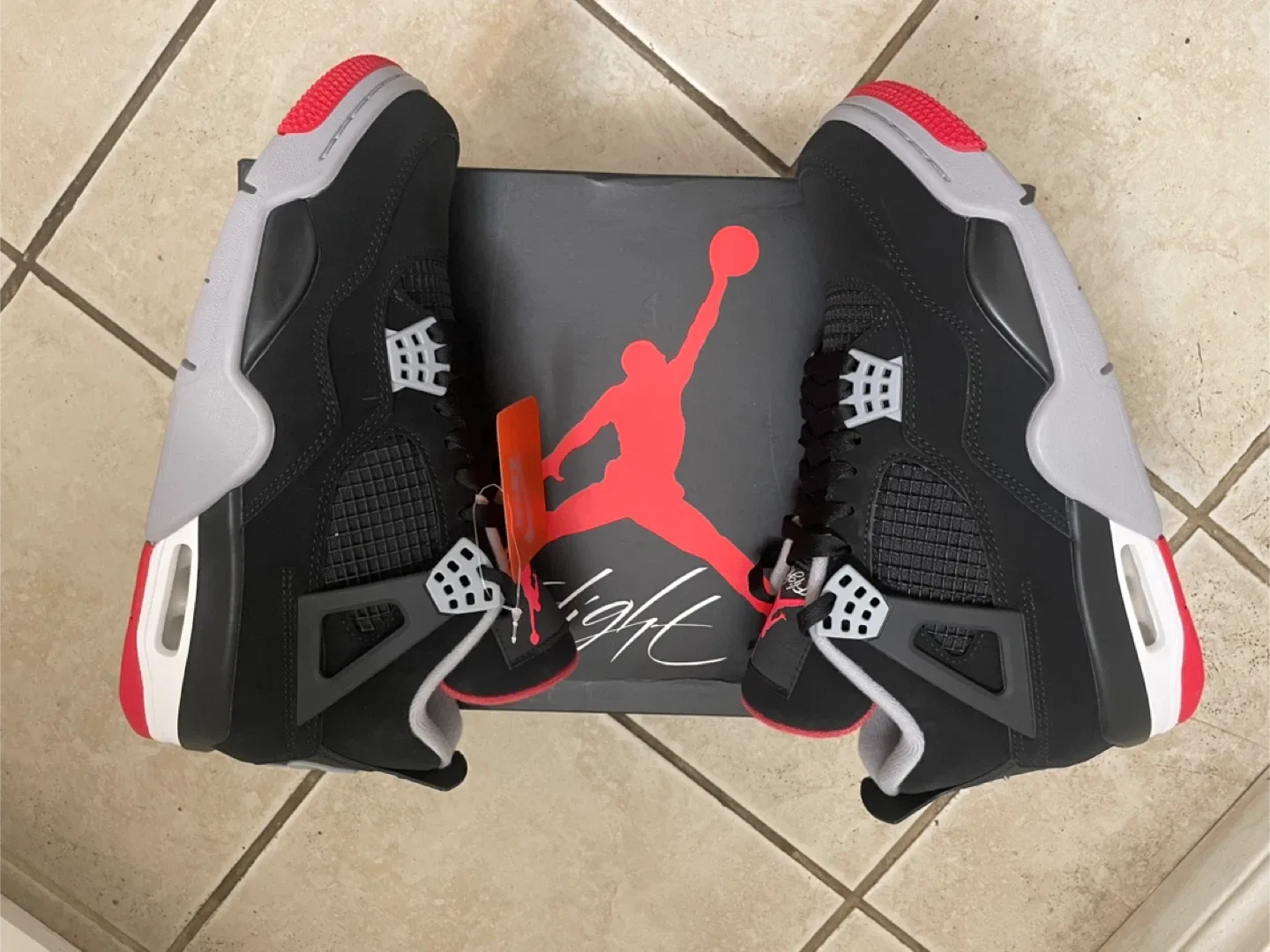 Nike Air Jordan 4 Retro Bred Reimagined image indicator(6)