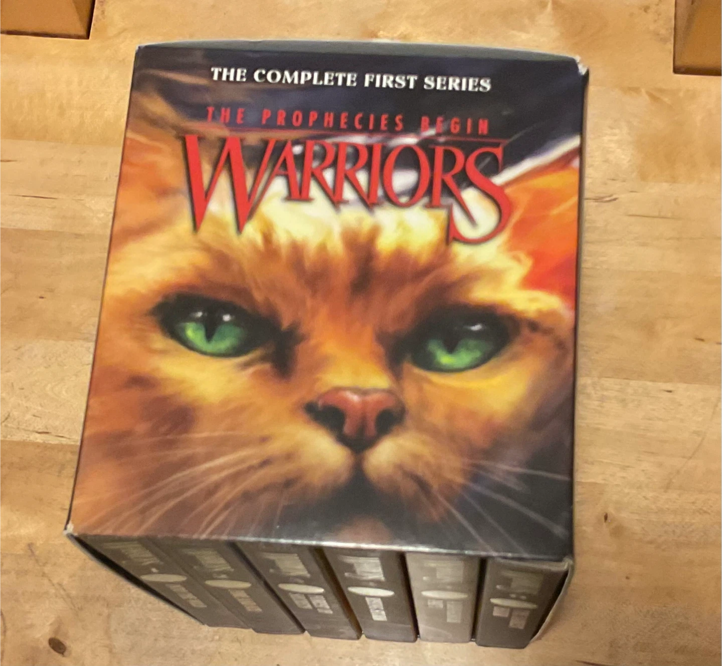 Warriors: The Prophecies Begin - Complete First Series - photo 2