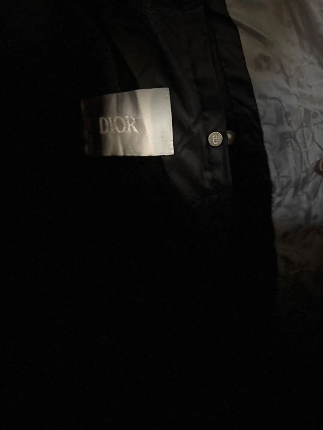 Dior Oblique Padded Vest image indicator(3)