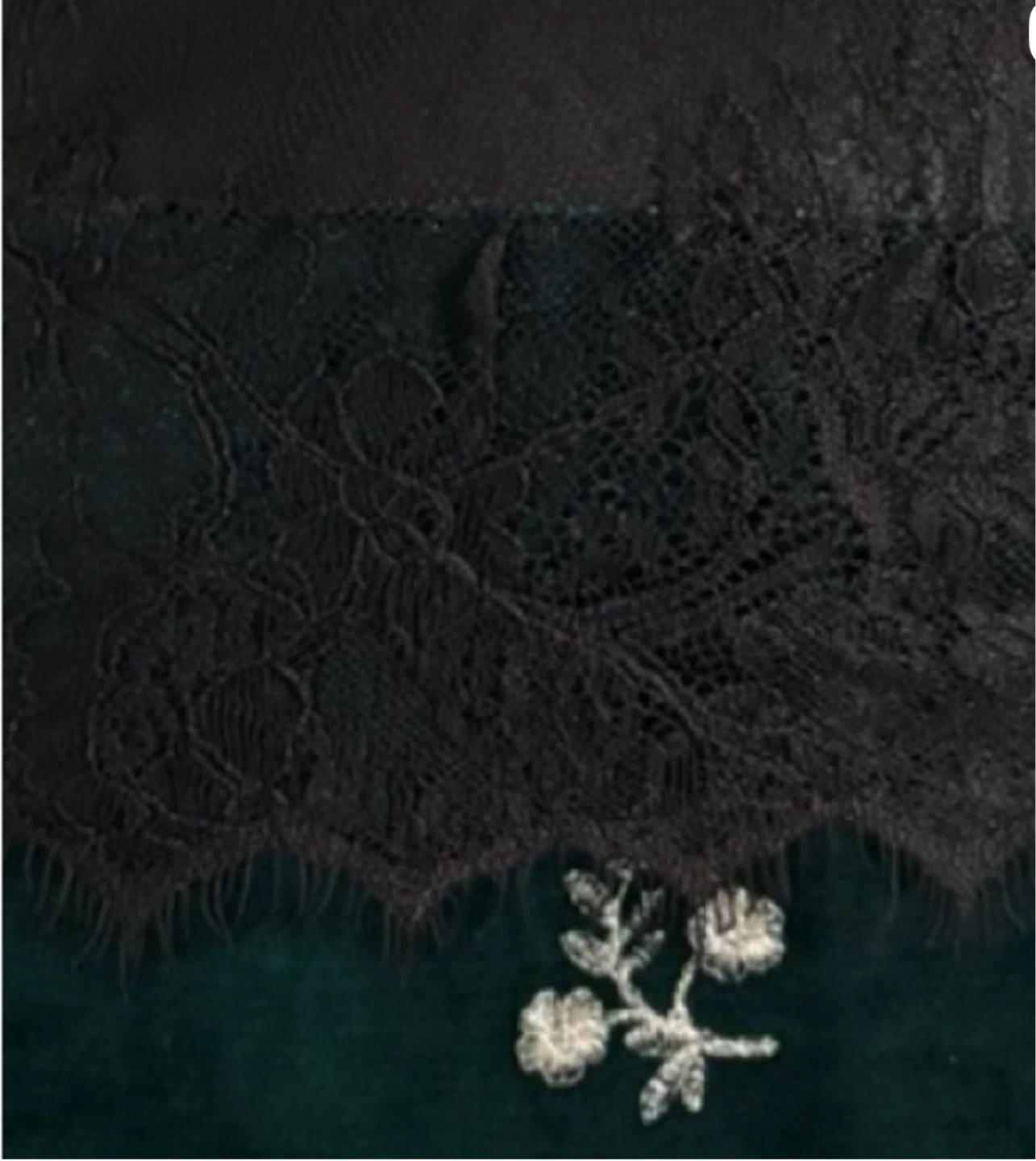 Zara Velvet Embroidery & Lace Midi Dress - photo 4