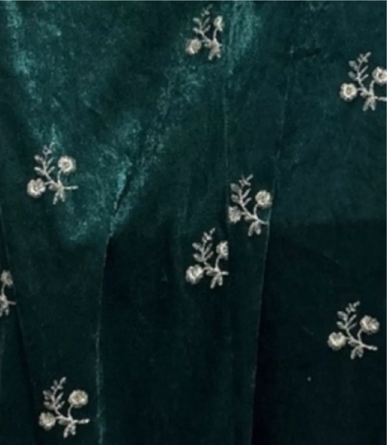 Zara Velvet Embroidery & Lace Midi Dress image indicator(5)