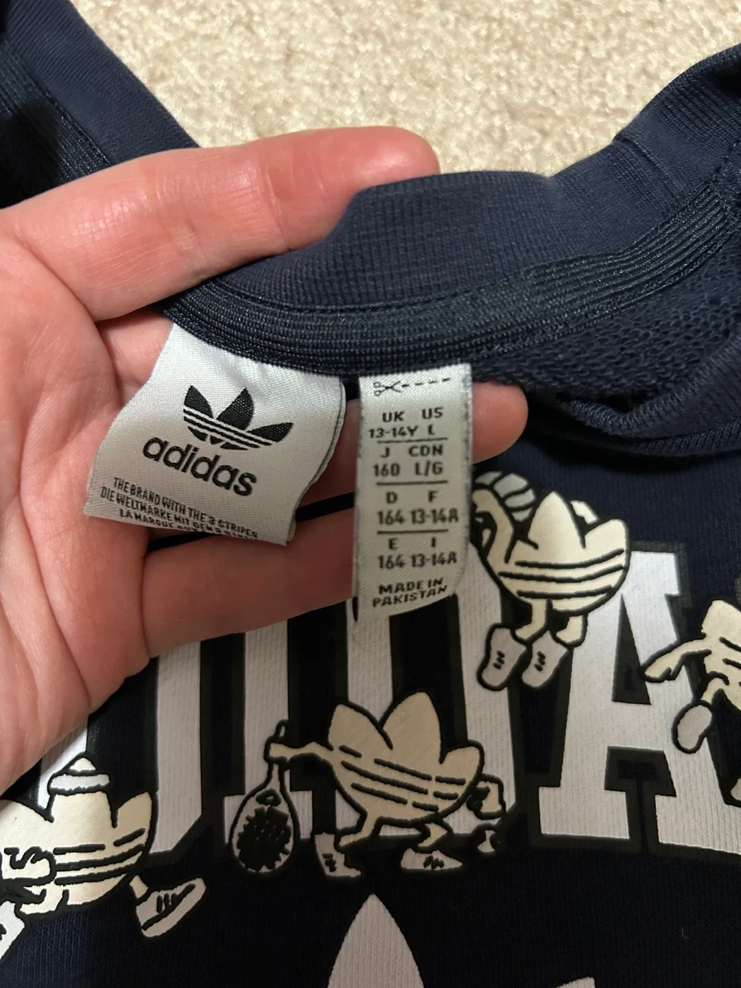Adidas kids Sweatshirt - Size L/G image indicator(2)