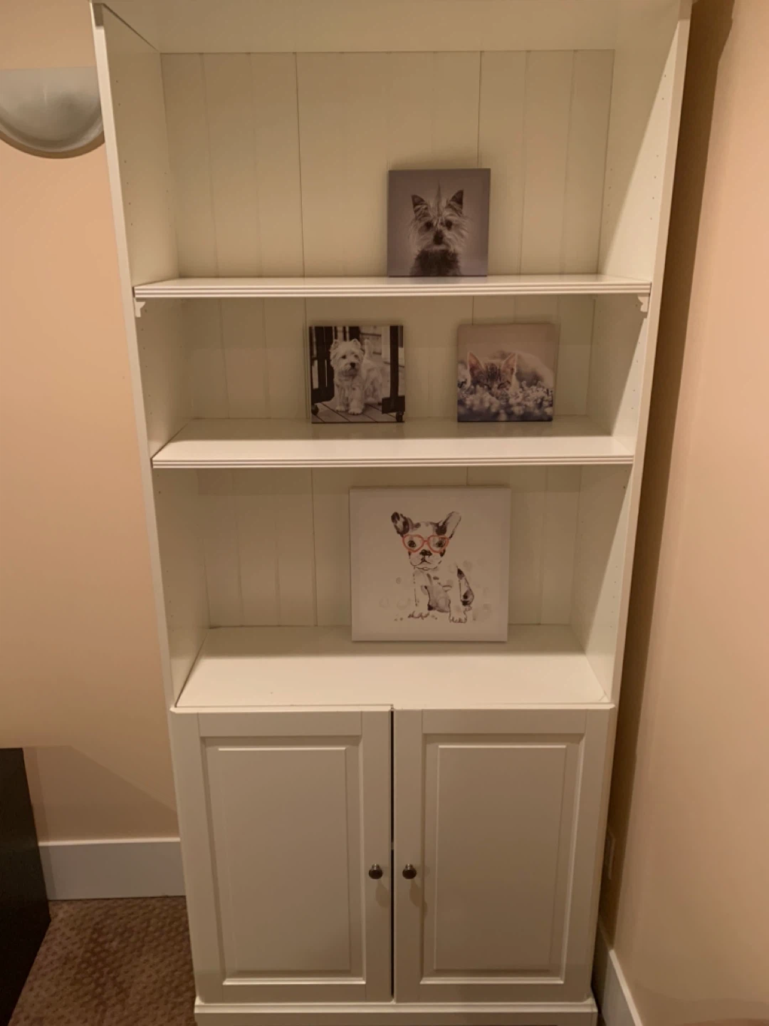 White Bookcase with Doors