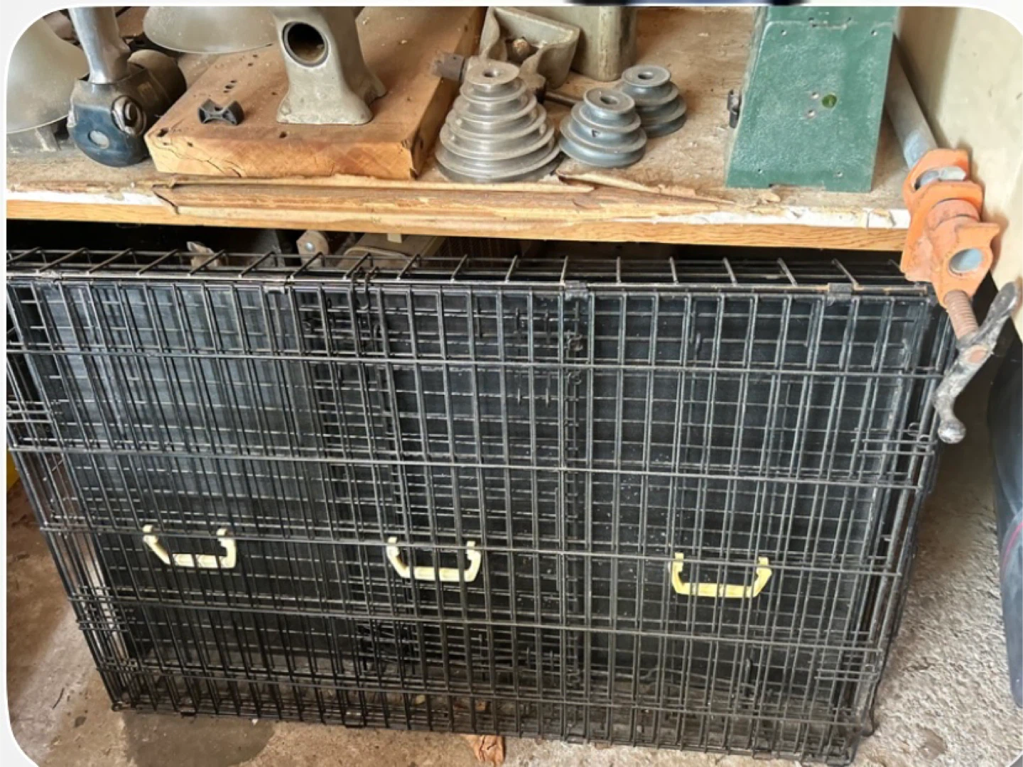 Black Wire Dog Crate
