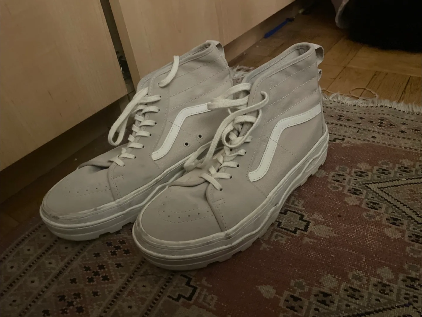 Vans SK8-Hi Platform Shoes