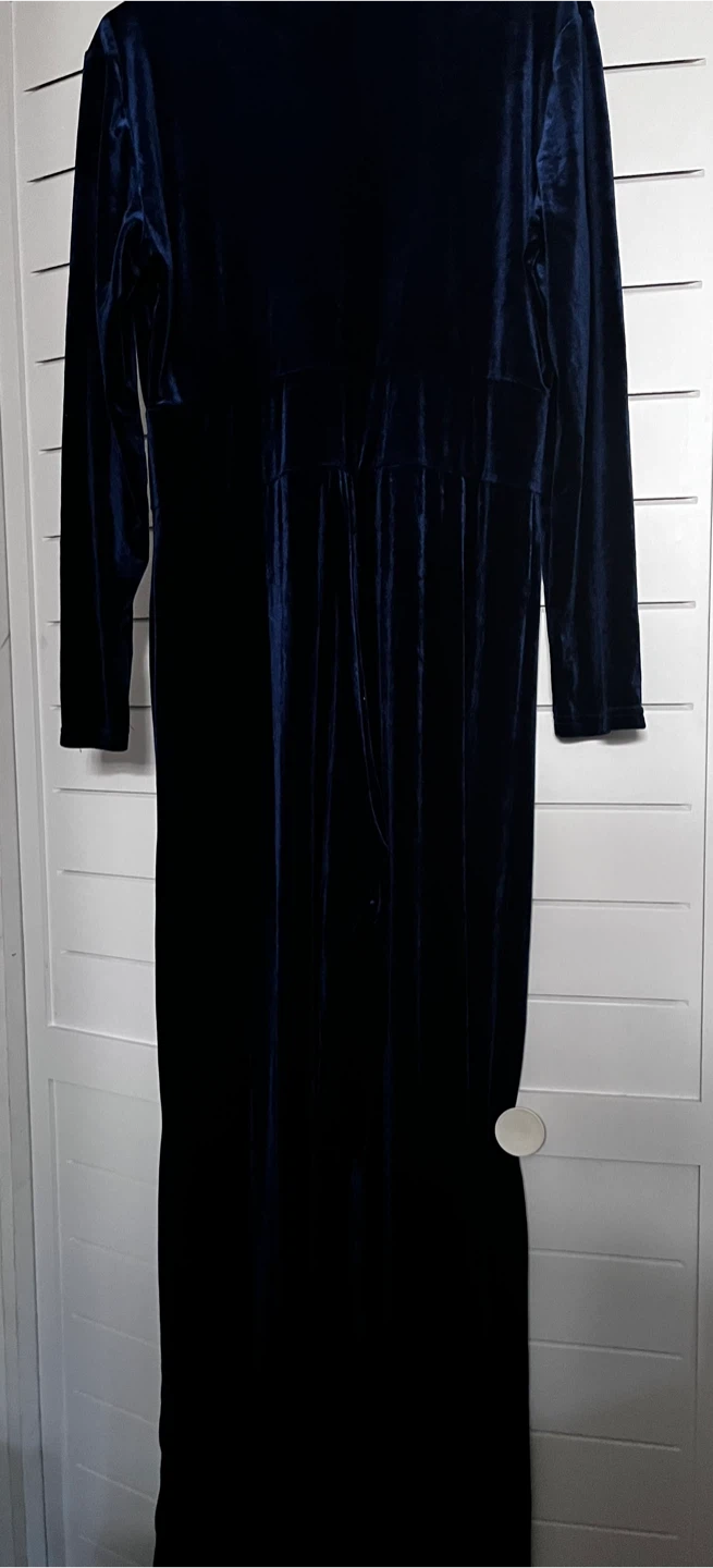 Blue Velvet Long Sleeve Dress - photo 2