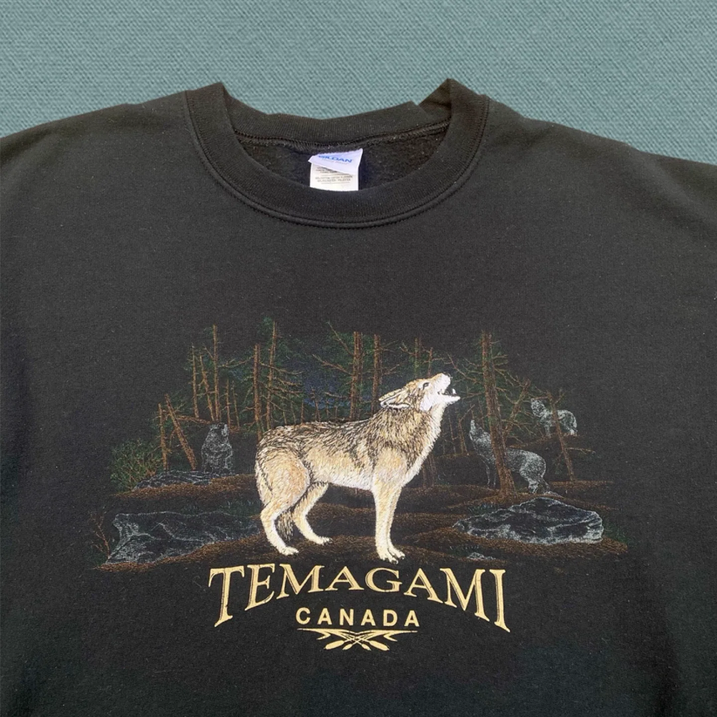 Vintage Canada Wolf Crewneck (medium) image indicator(2)