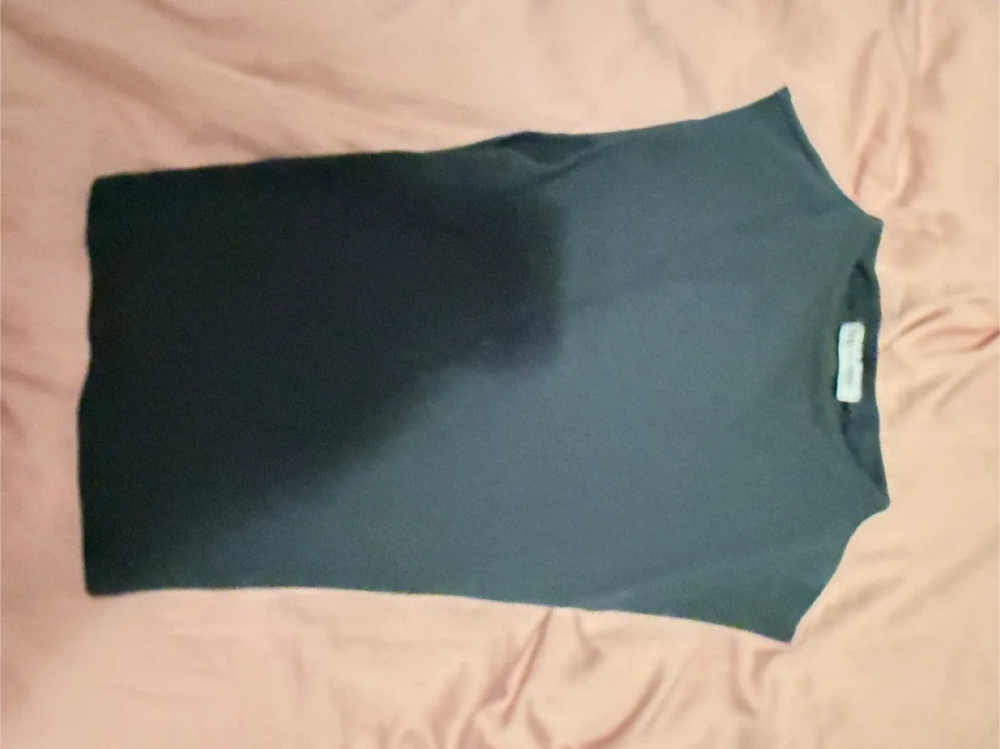 Oritzia image indicator(7)