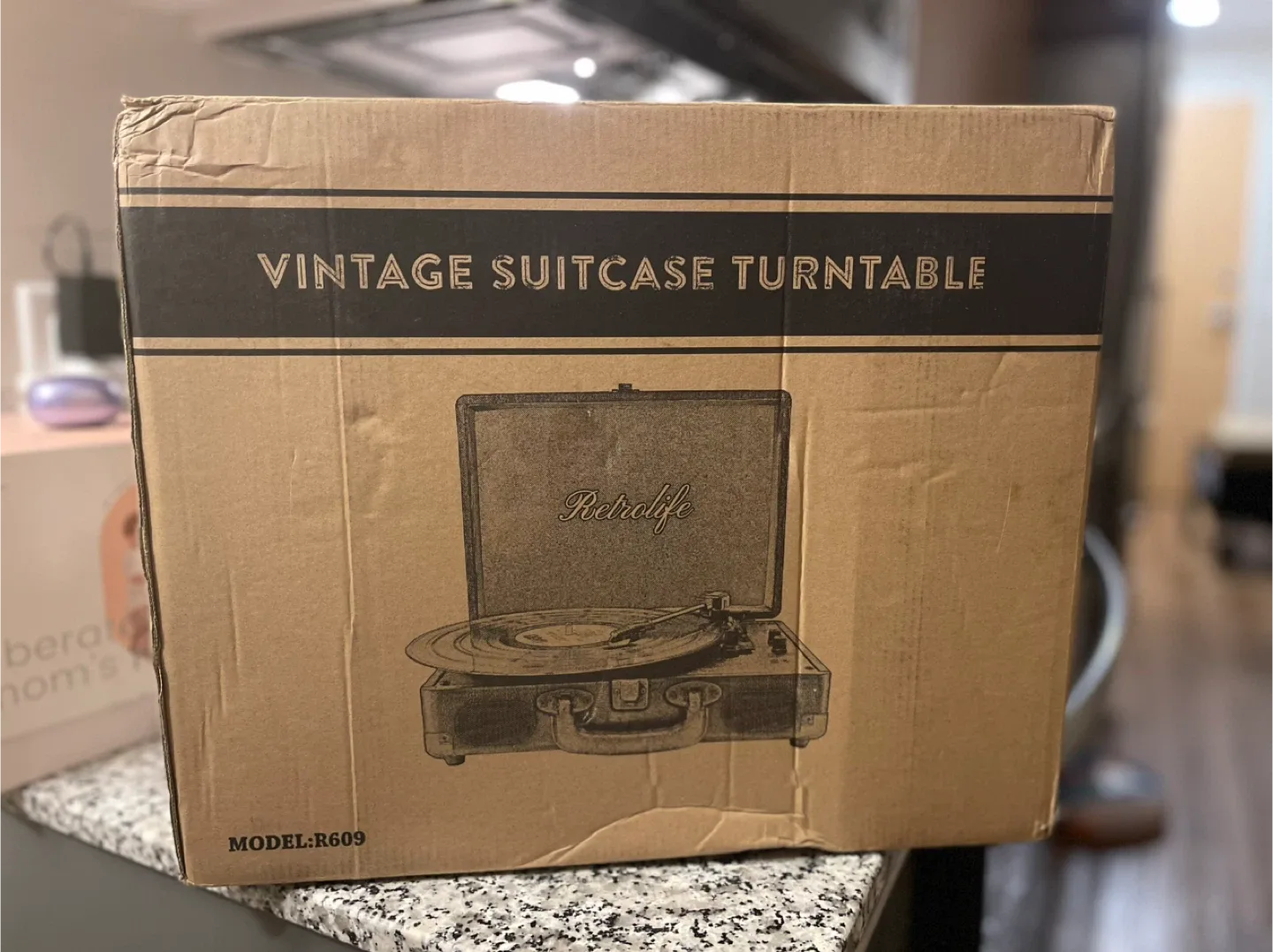 Retrolife R609 Retro Suitcase Turntable - Black image indicator(8)