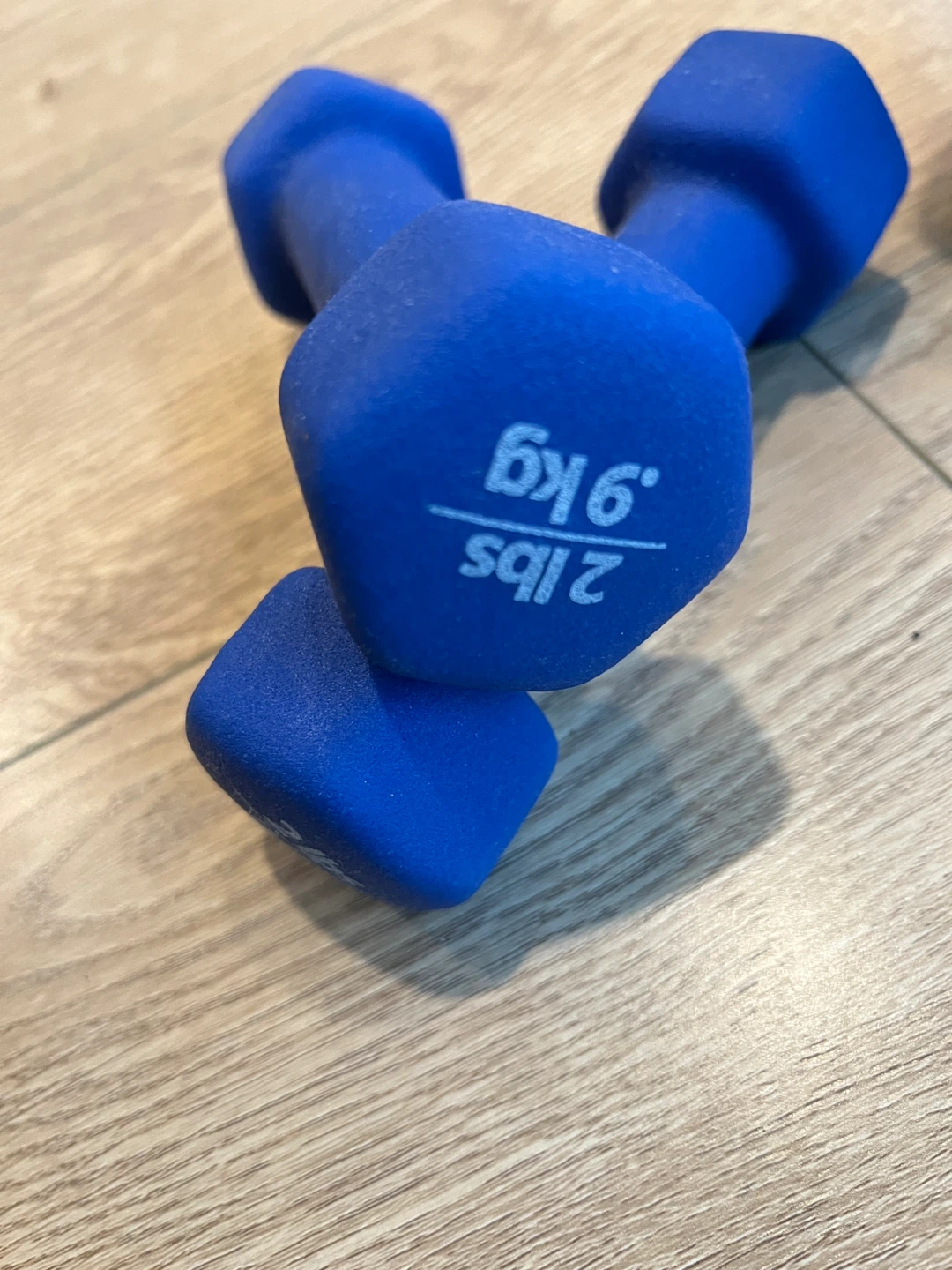 2lb (0.9kg) Dumbbells - Blue