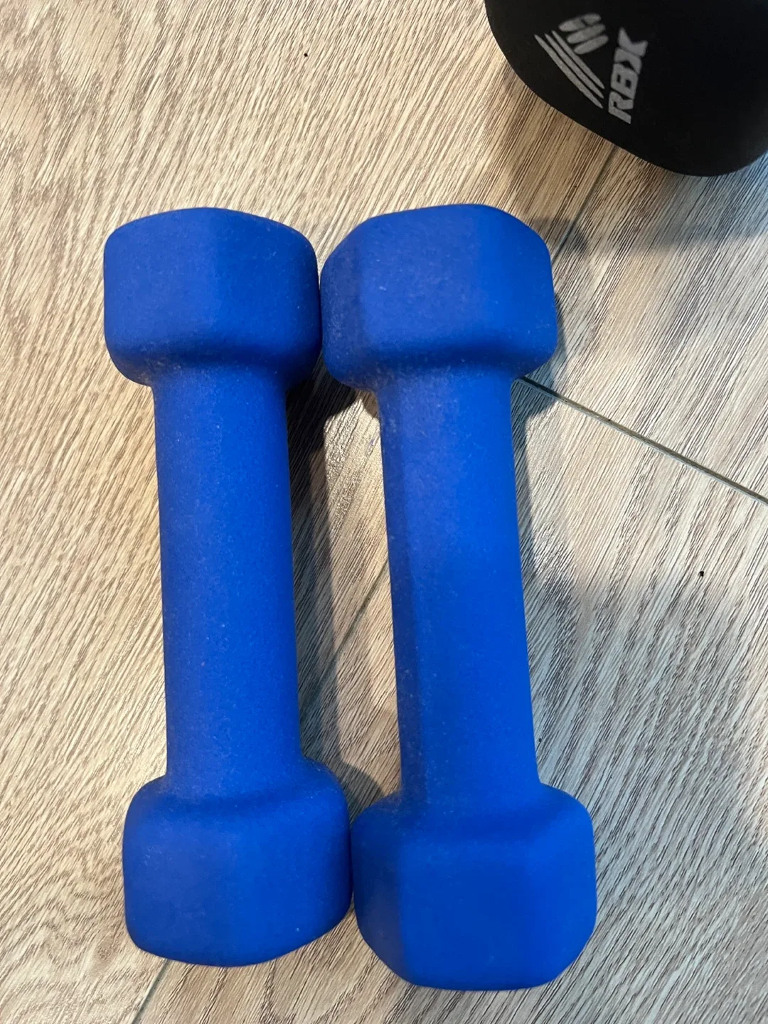 2lb (0.9kg) Dumbbells - Blue image indicator(2)
