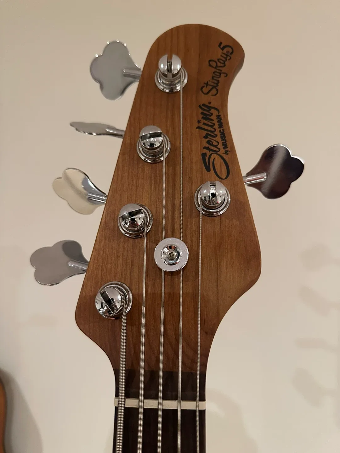 Sterling by Music Man StingRay5 Bass Guitar image indicator(3)