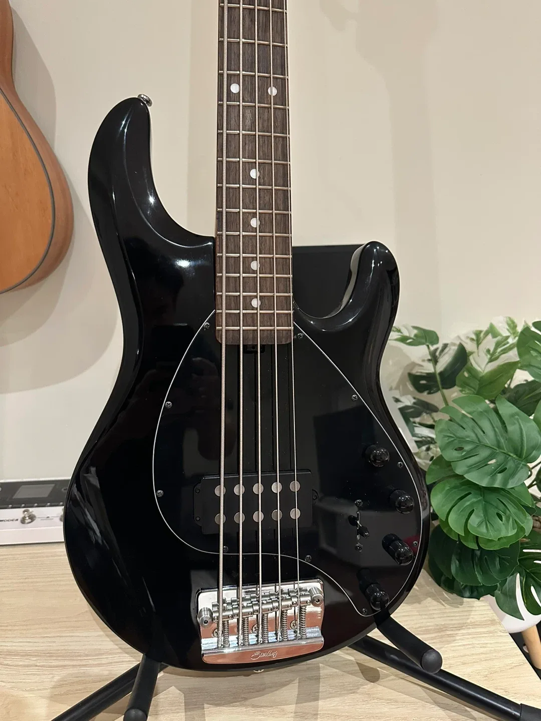 Sterling by Music Man StingRay5 Bass Guitar image indicator(4)