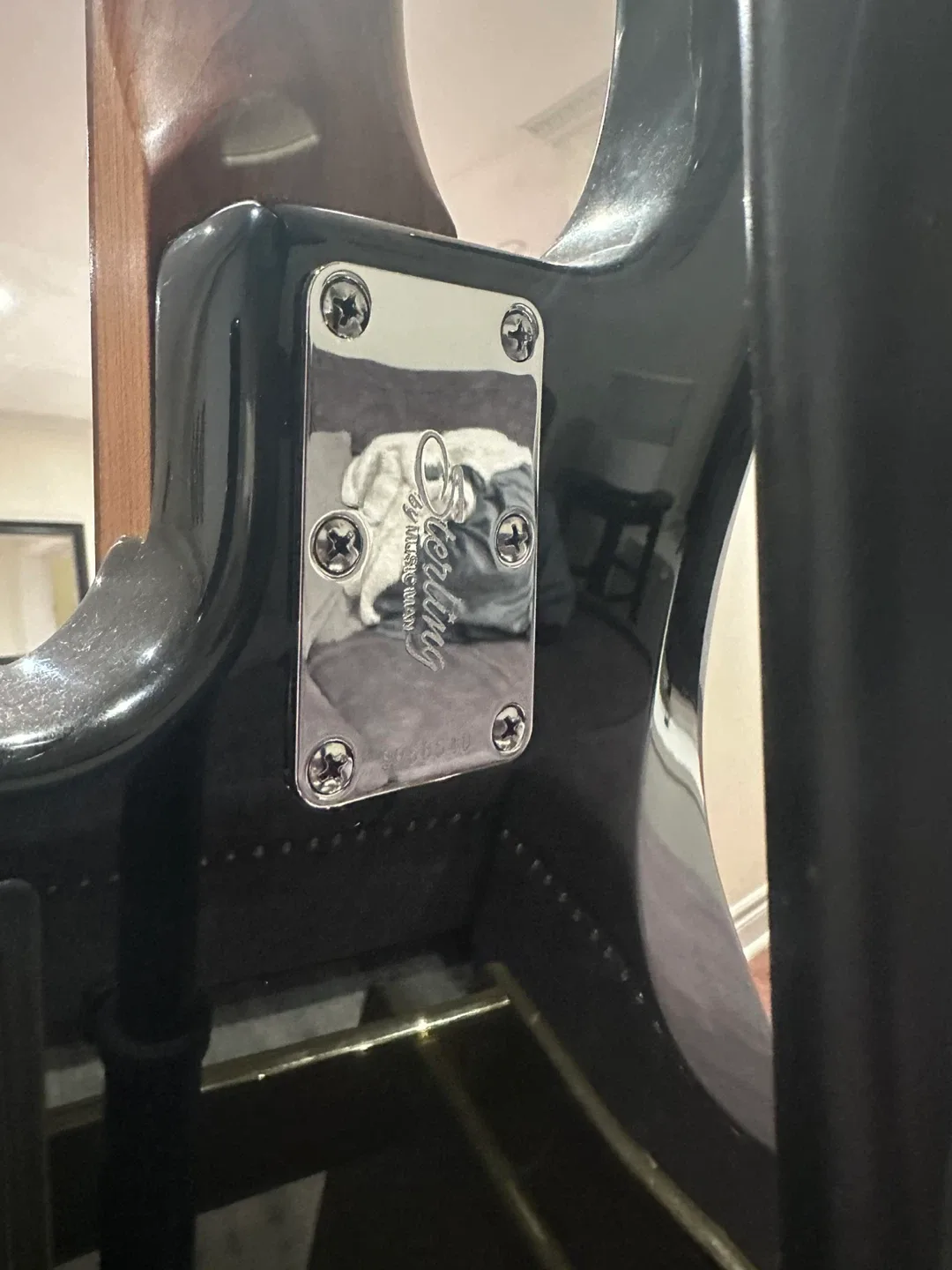 Sterling by Music Man StingRay5 Bass Guitar image indicator(2)