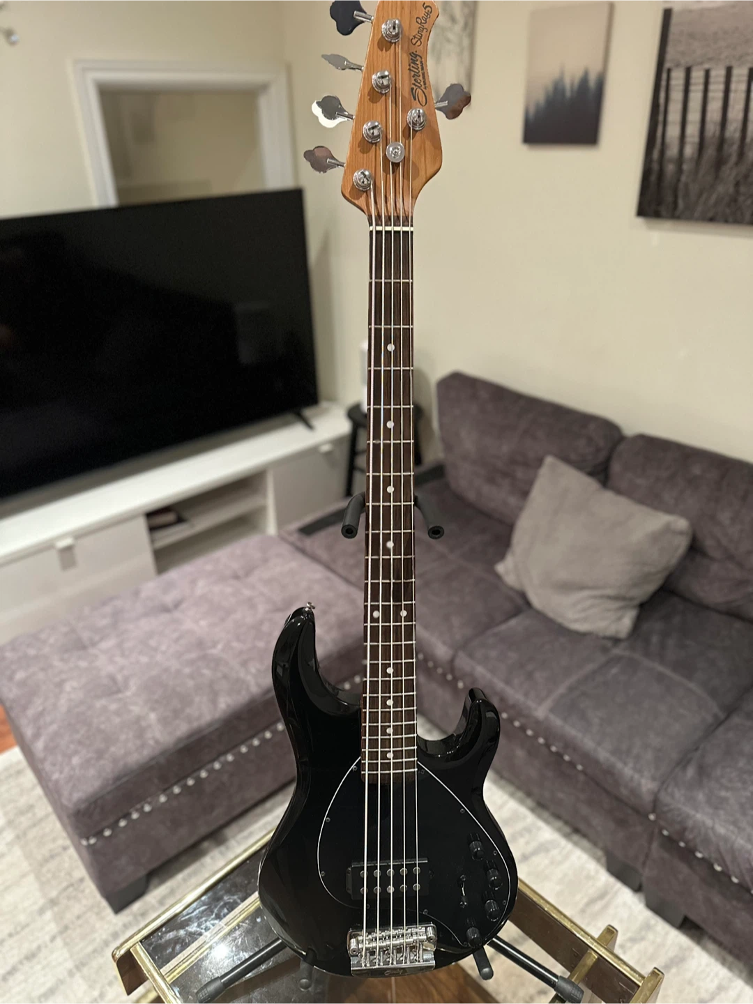 Sterling by Music Man StingRay5 Bass Guitar