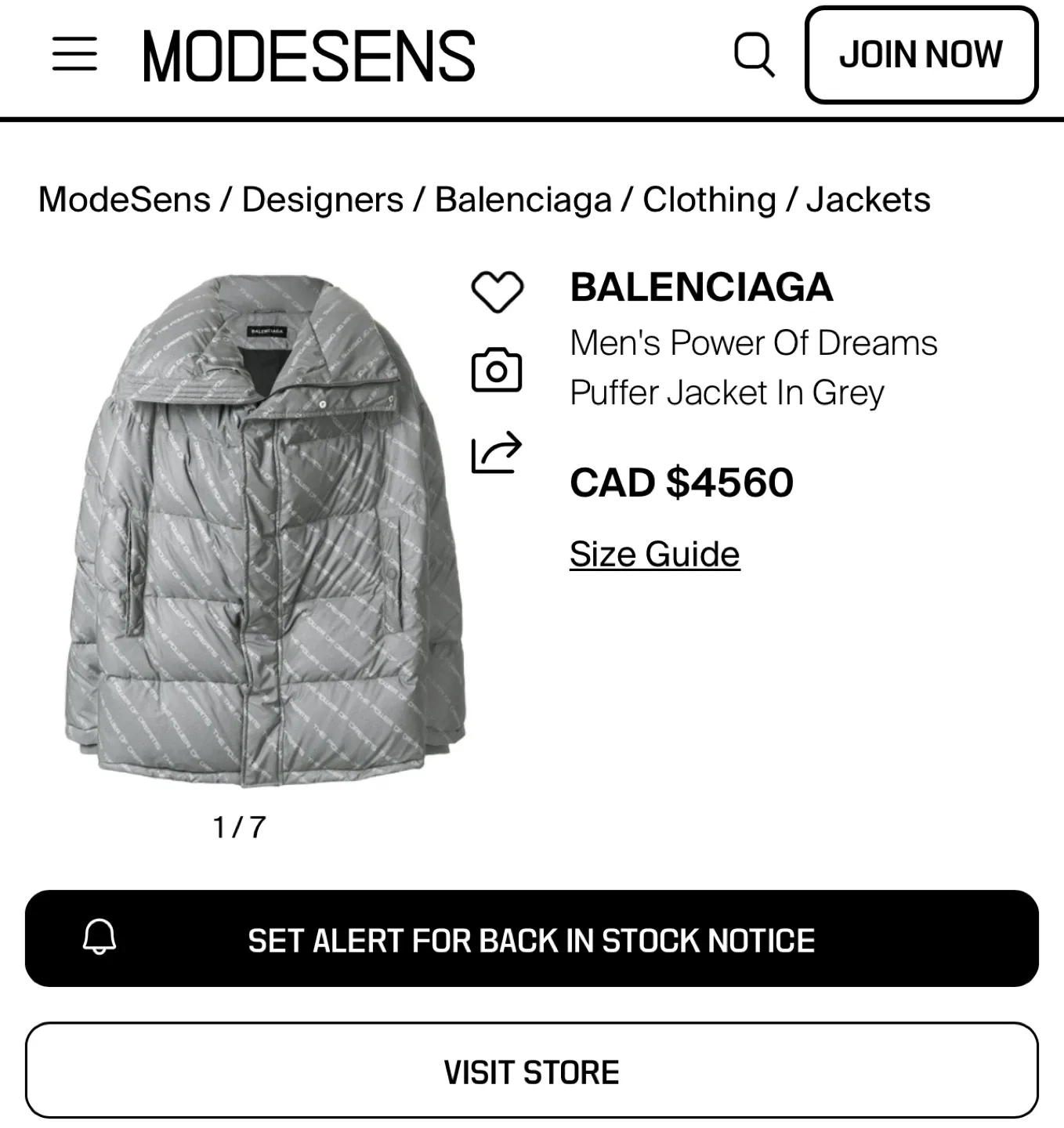 Balenciaga Power Of Dreams Puffer Jacket in Grey image indicator(2)
