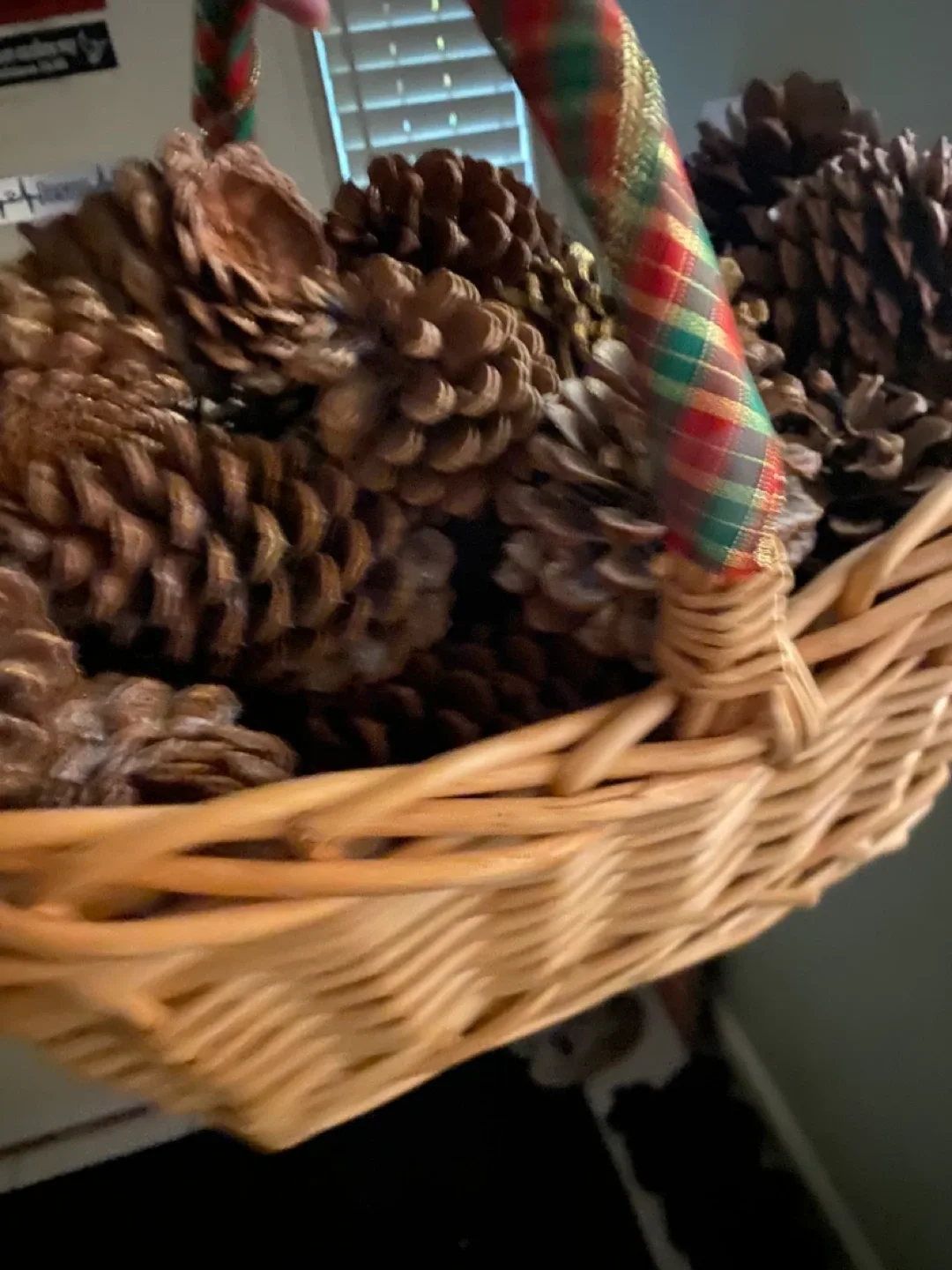 Free Pinecone Basket thumbnail