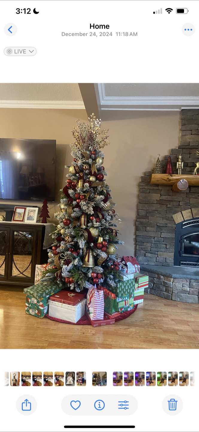 Ashland 7.5 ft Pre-Lit Vermont Flocked Tree