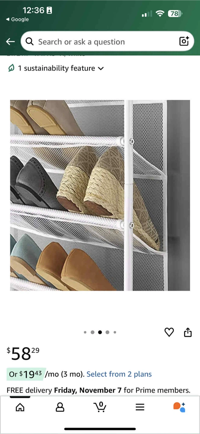 Over the Door Shoe Organizer - photo 5