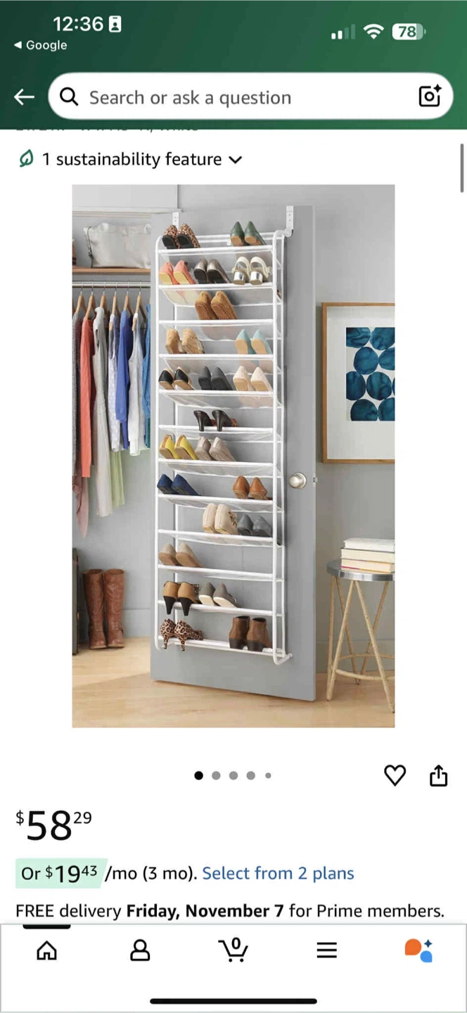 Over the Door Shoe Organizer - photo 3