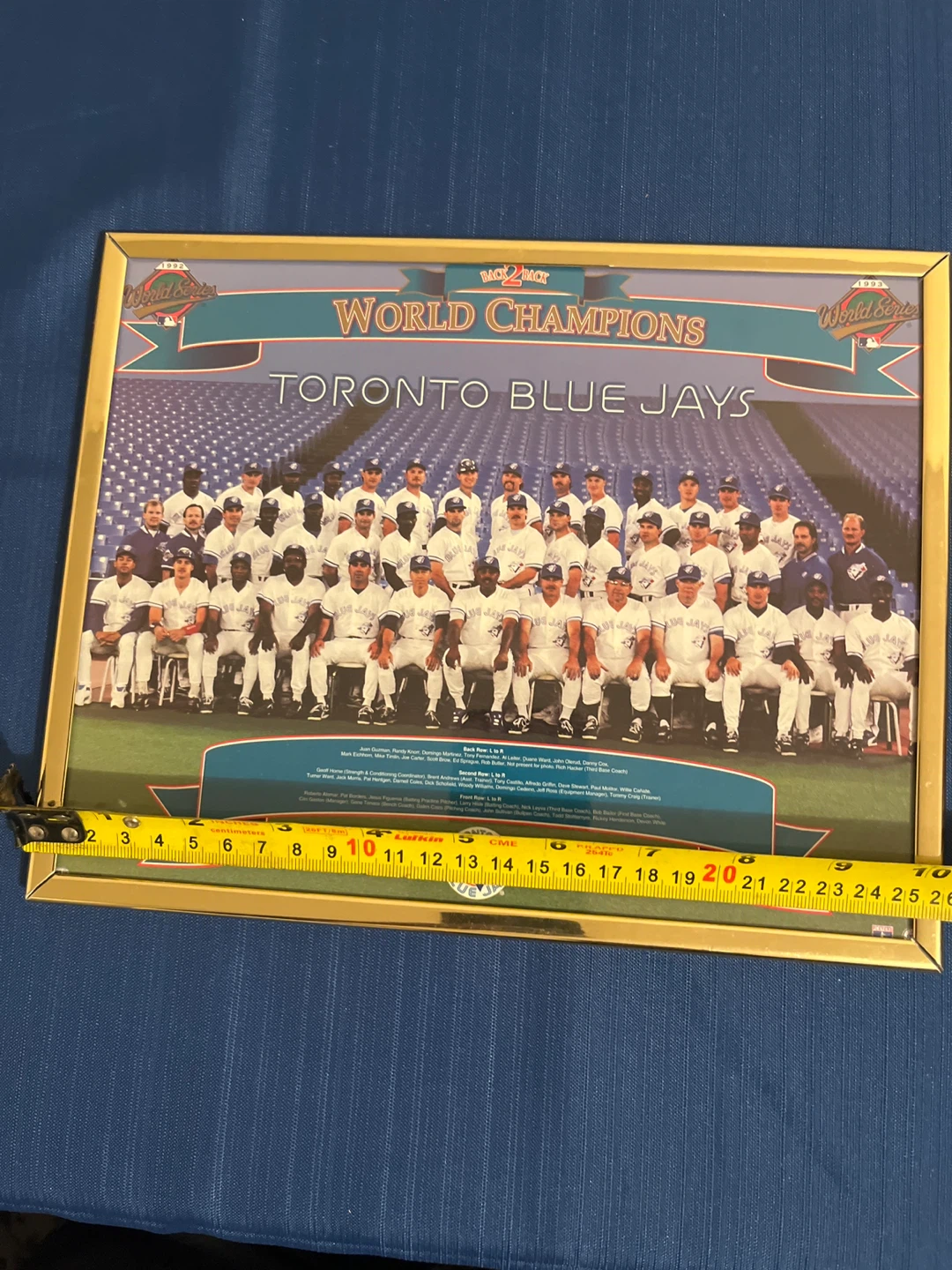 Toronto Blue Jays 1992-1993 World Series Framed Picture - photo 2