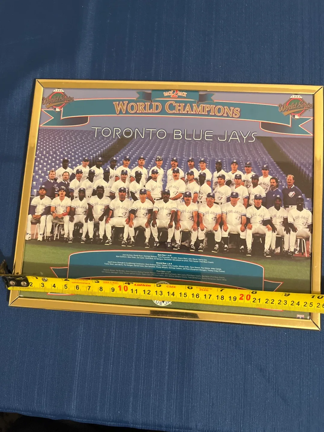Toronto Blue Jays 1992-1993 World Series Framed Picture image indicator(2)