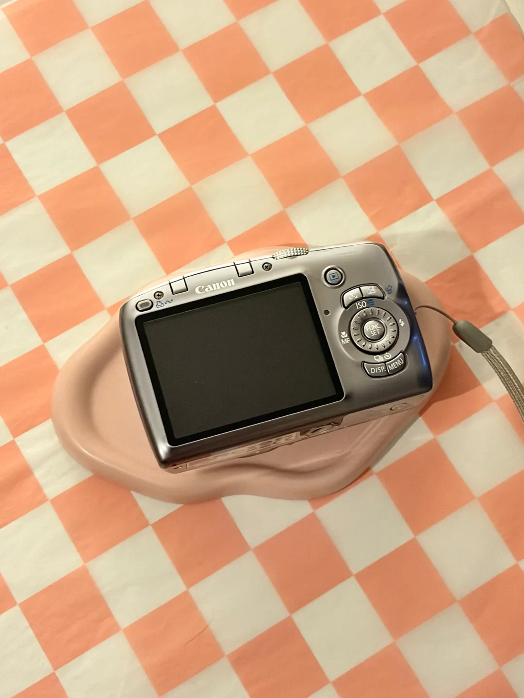 Canon PowerShot SX110 IS Digital Camera image indicator(2)