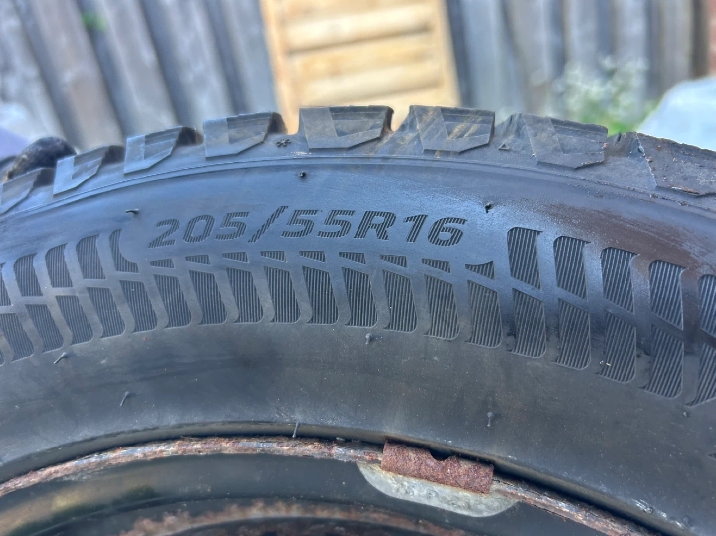 Motomaster Winter Edge II 205/55R16 Tire