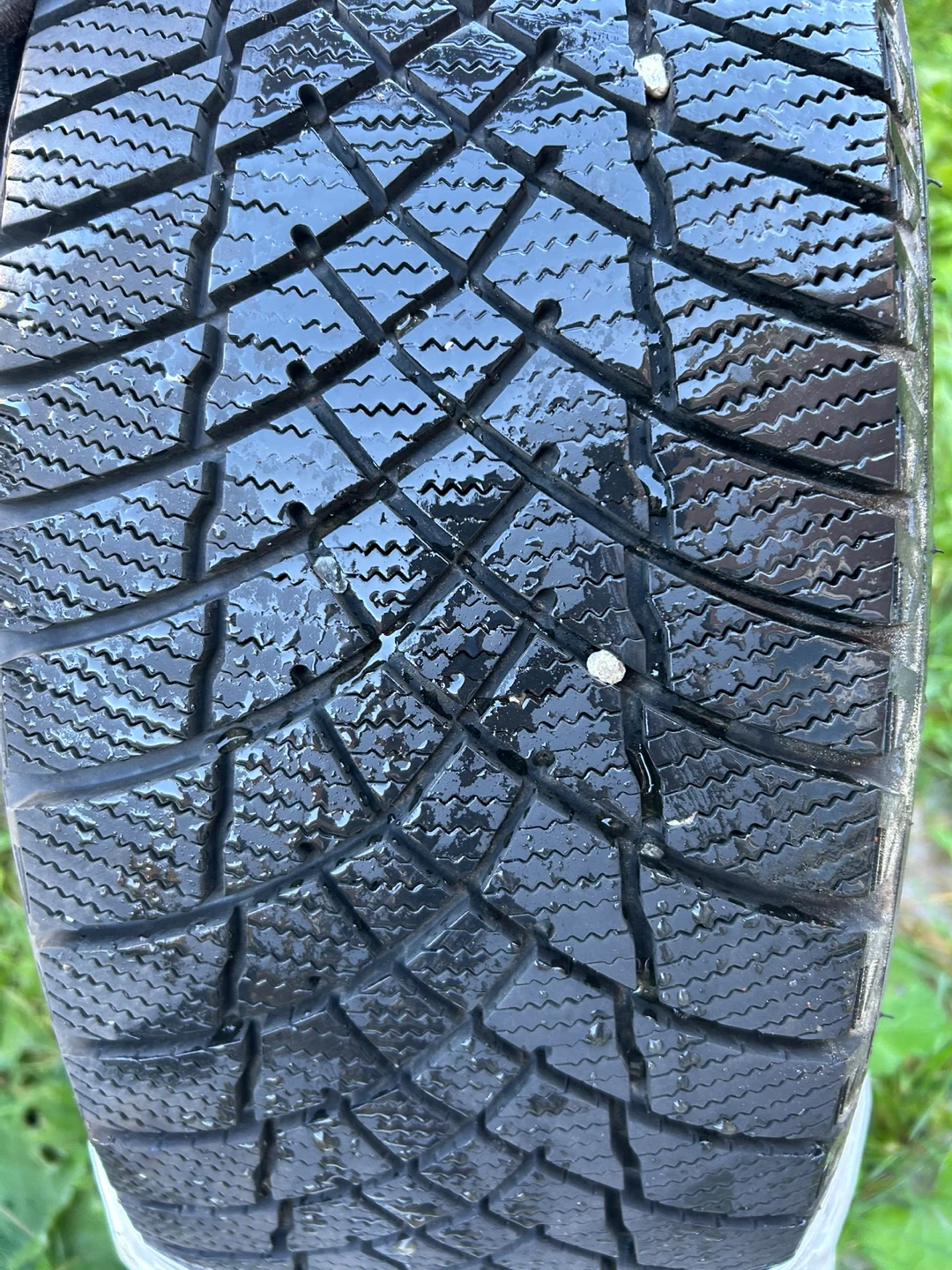 Motomaster Winter Edge II 205/55R16 Tire - photo 3