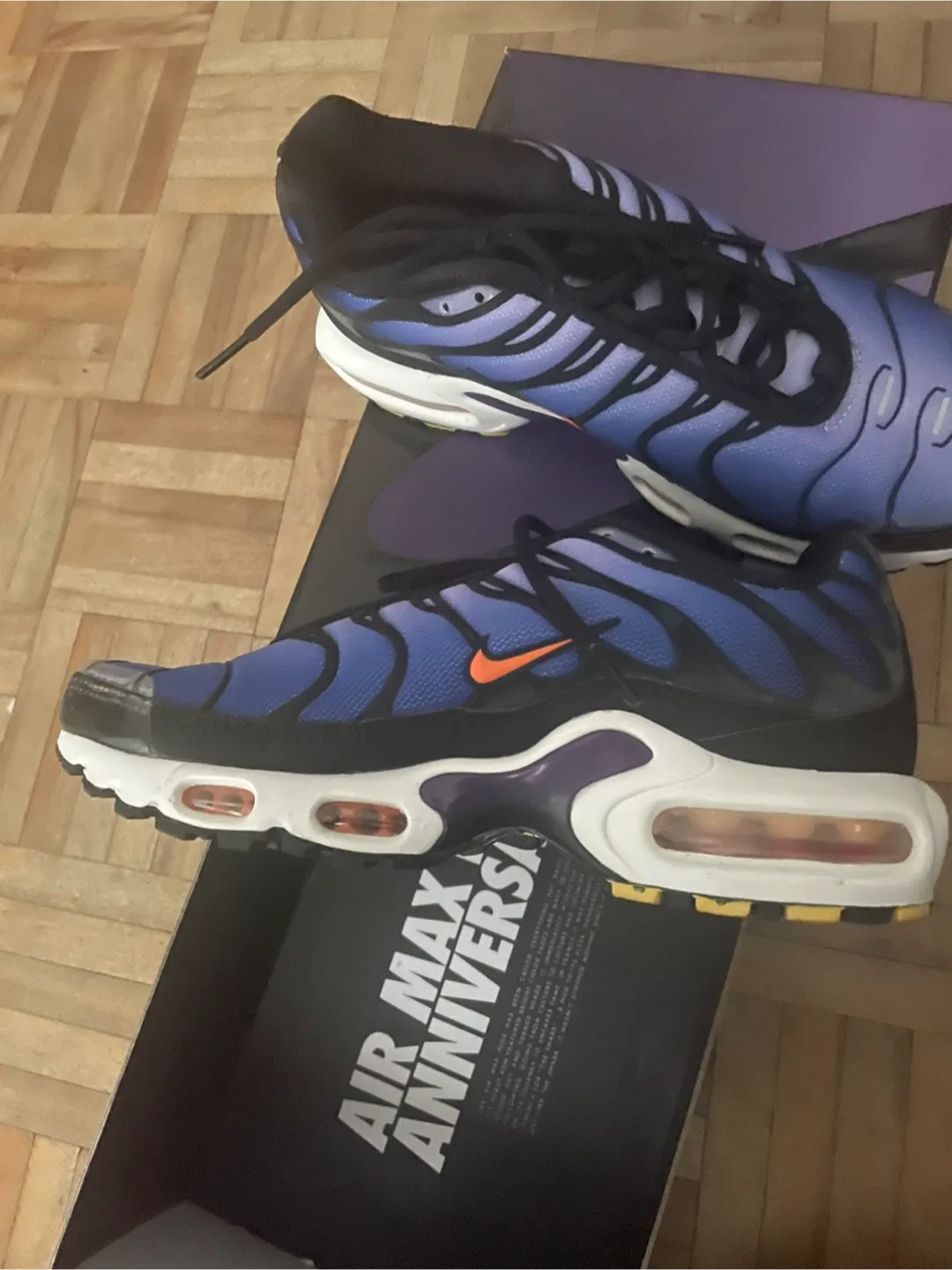 Nike Air Max Plus TN Anniversary Edition US 4.5 image indicator(3)