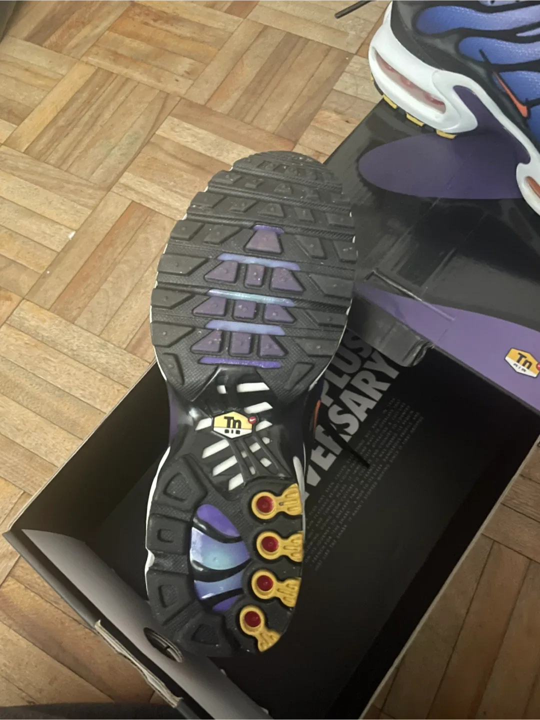 Nike Air Max Plus TN Anniversary Edition US 4.5 image indicator(2)