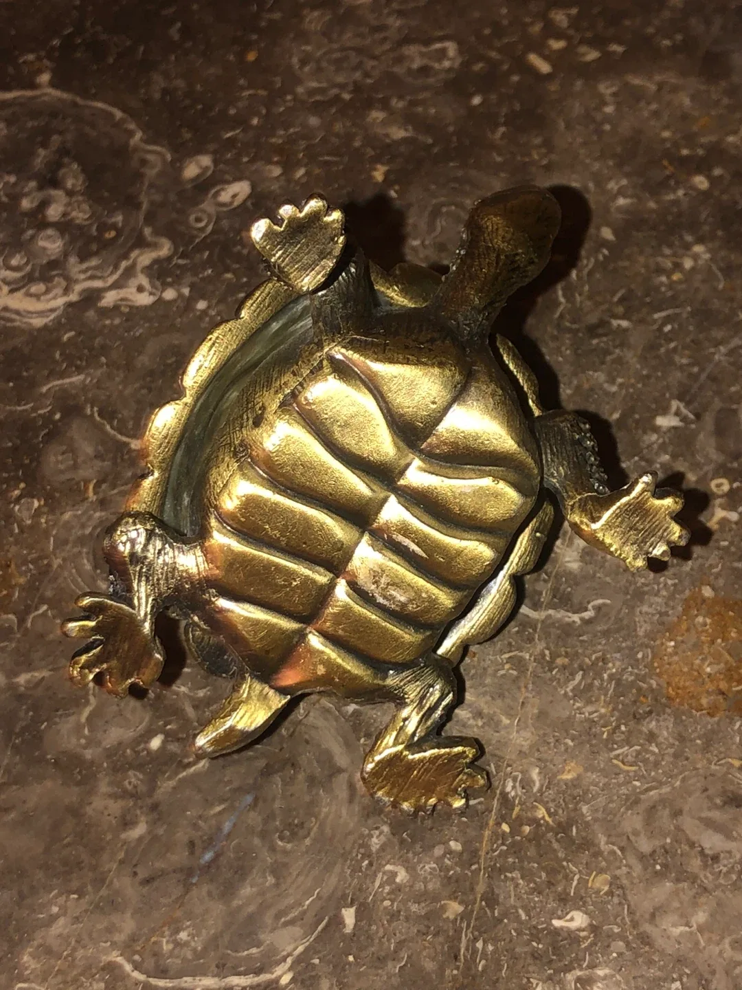 Turtle Trinket Box with Rhinestones image indicator(6)