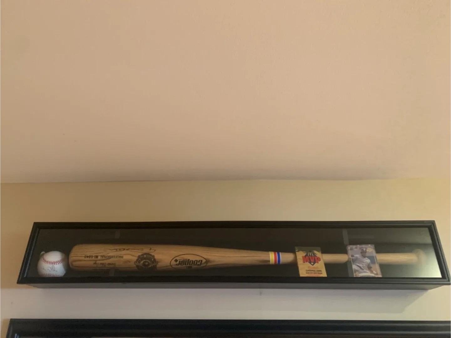 Cooper Toronto Blue Jays Baseball Bat Display Case image indicator(3)