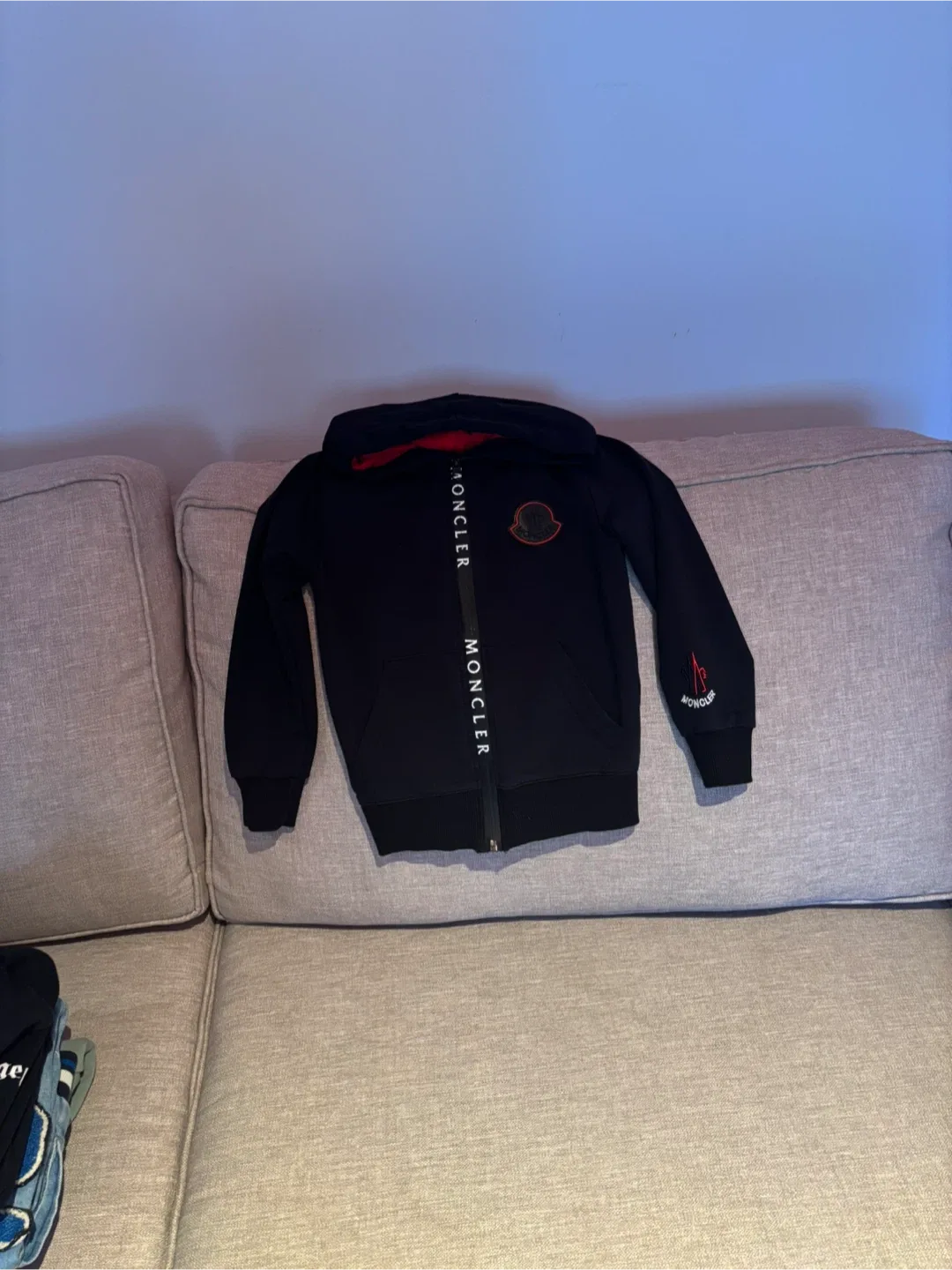 Branded Kids Hoodies image indicator(4)