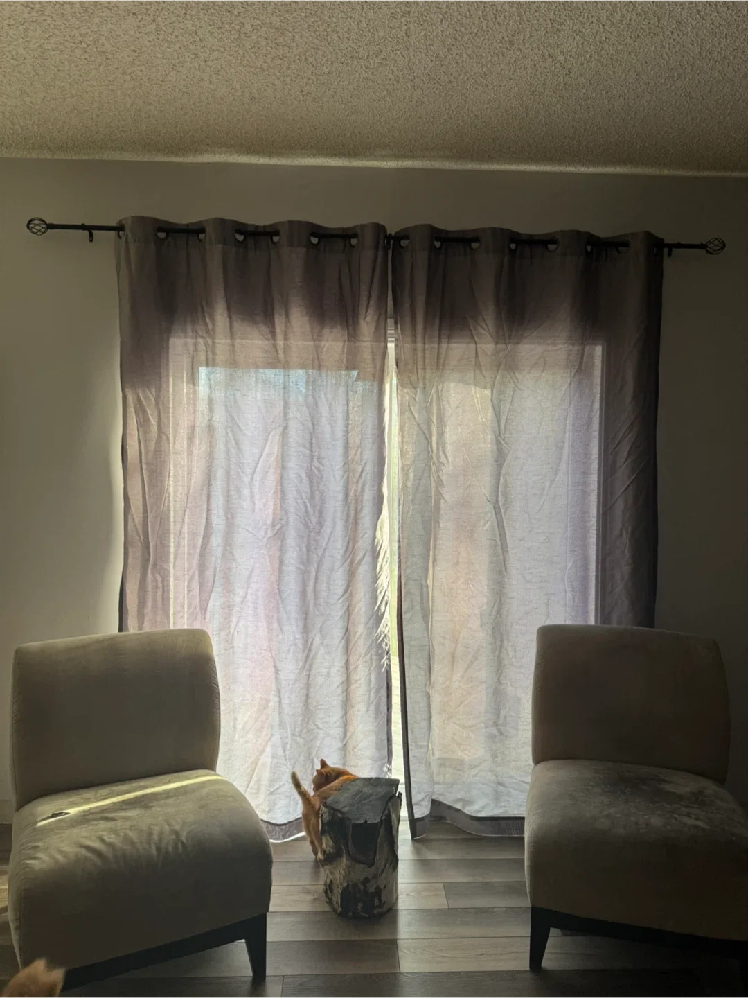 2 panels Grey sheer curtains