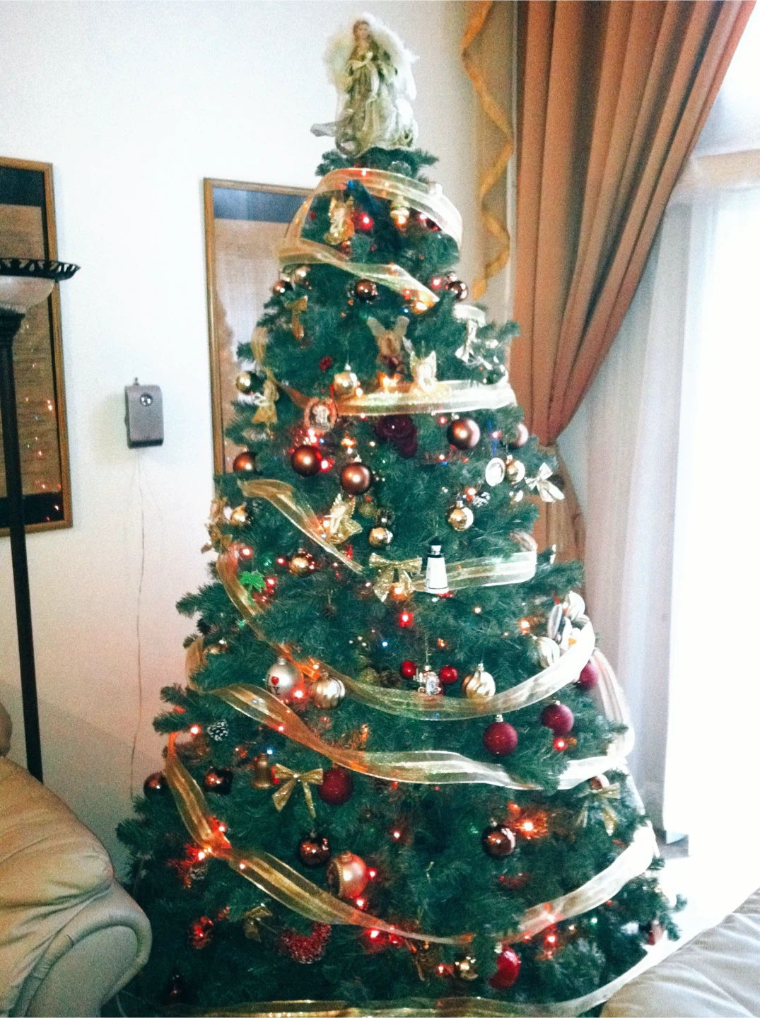Christmas Tree & Bag and it can be without bag for less