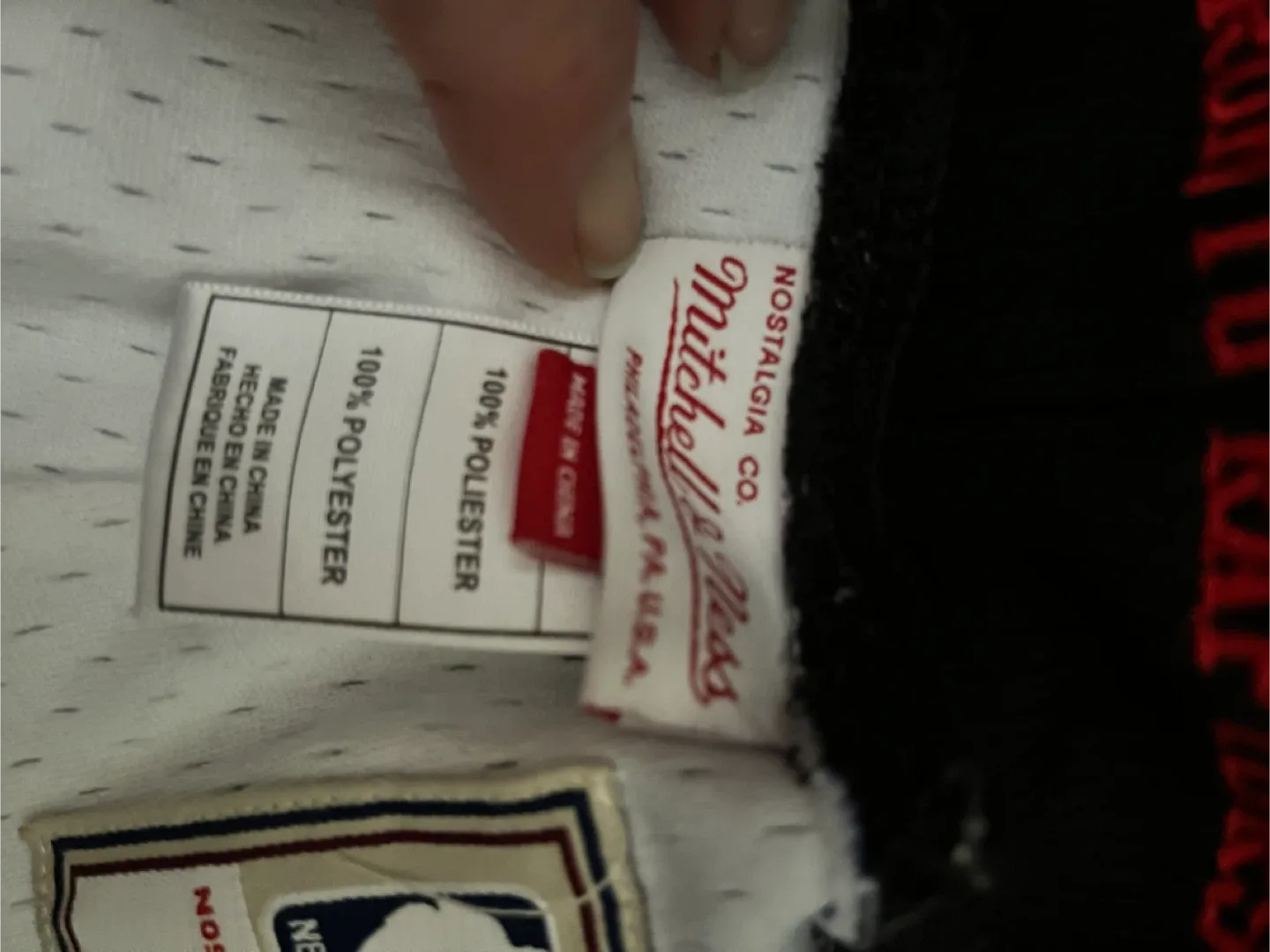 Mitchell & Ness Toronto Raptors Shorts 2XL image indicator(6)