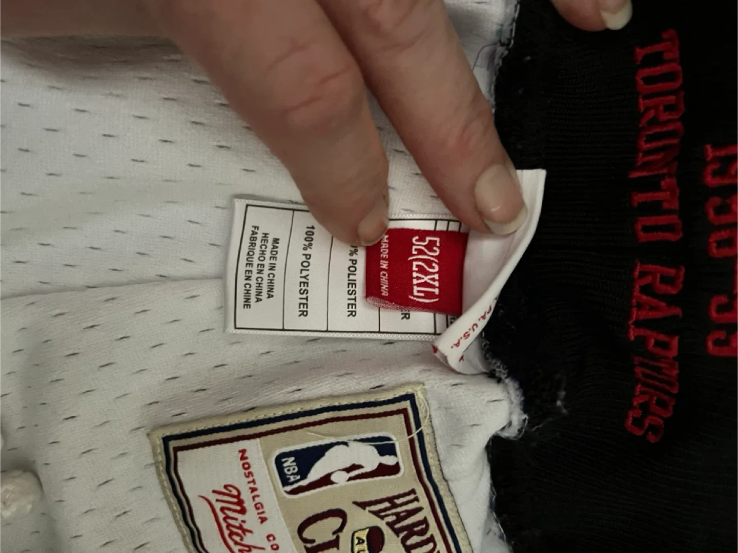 Mitchell & Ness Toronto Raptors Shorts 2XL image indicator(5)
