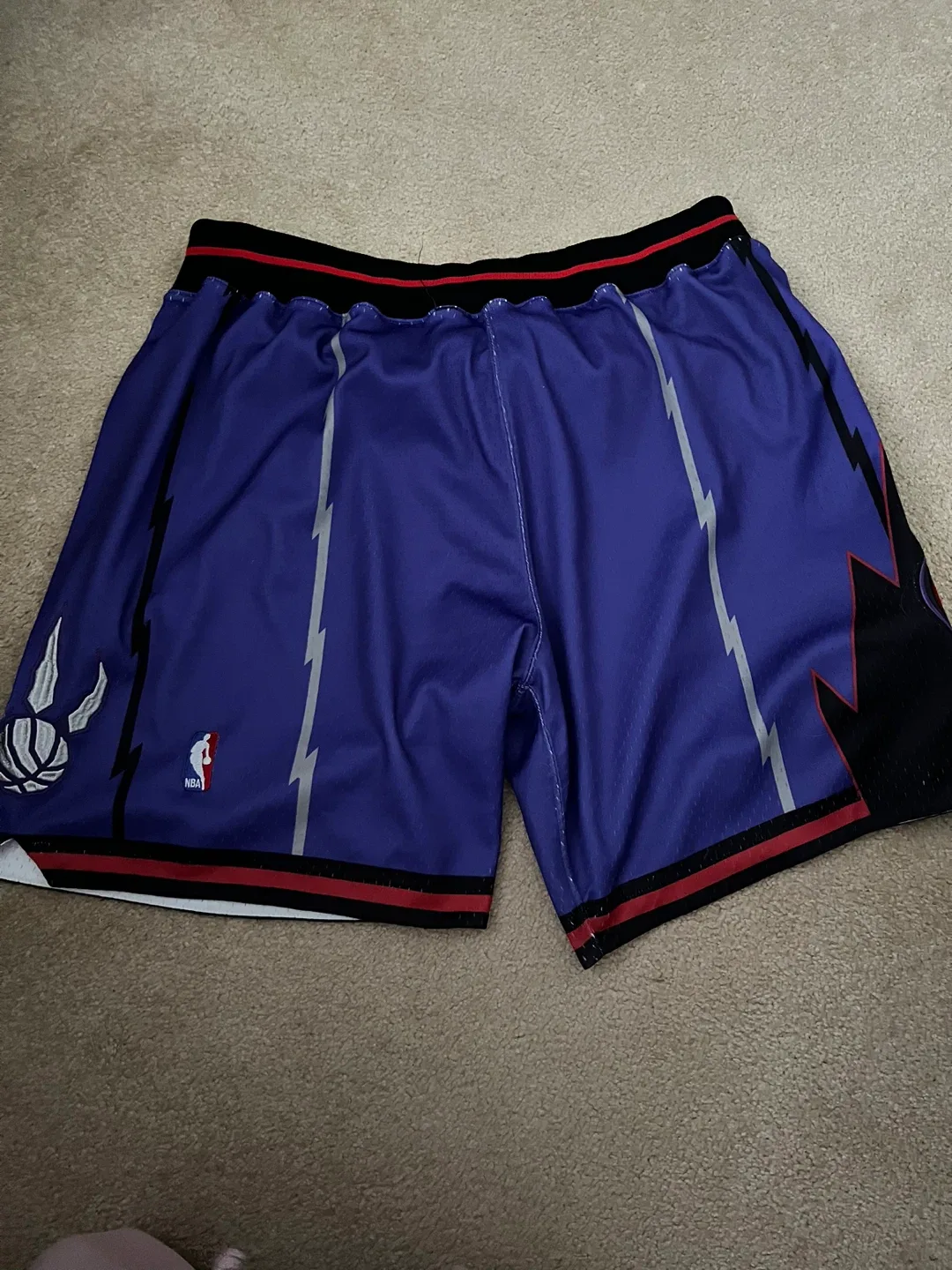 Mitchell & Ness Toronto Raptors Shorts 2XL image indicator(8)