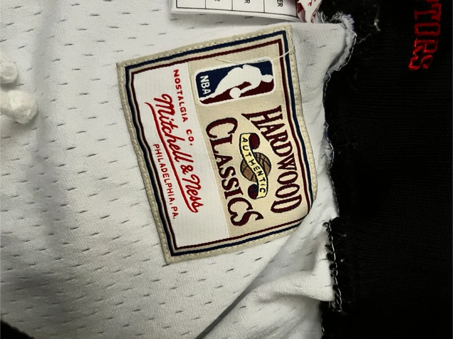 Mitchell & Ness Toronto Raptors Shorts 2XL image indicator(4)