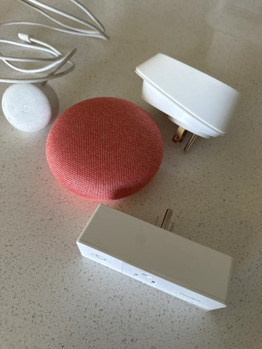 Google Nest Mini Coral with Adapters (add on)