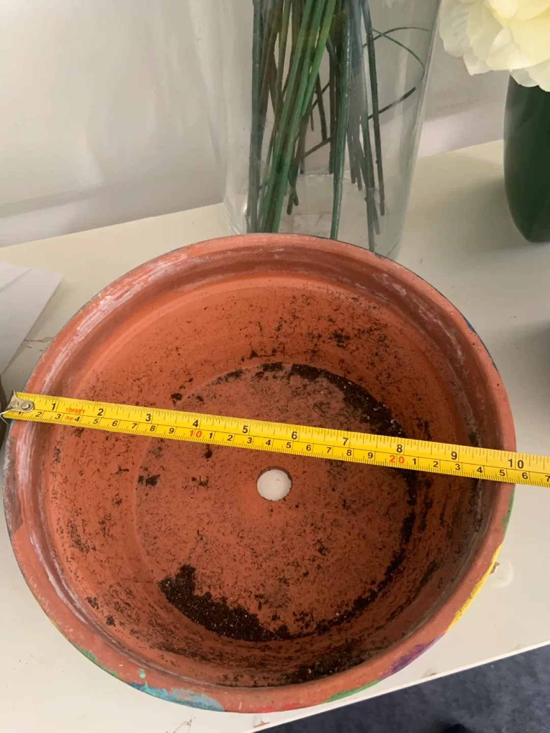 Pothos Plant in Decorative Pot image indicator(7)