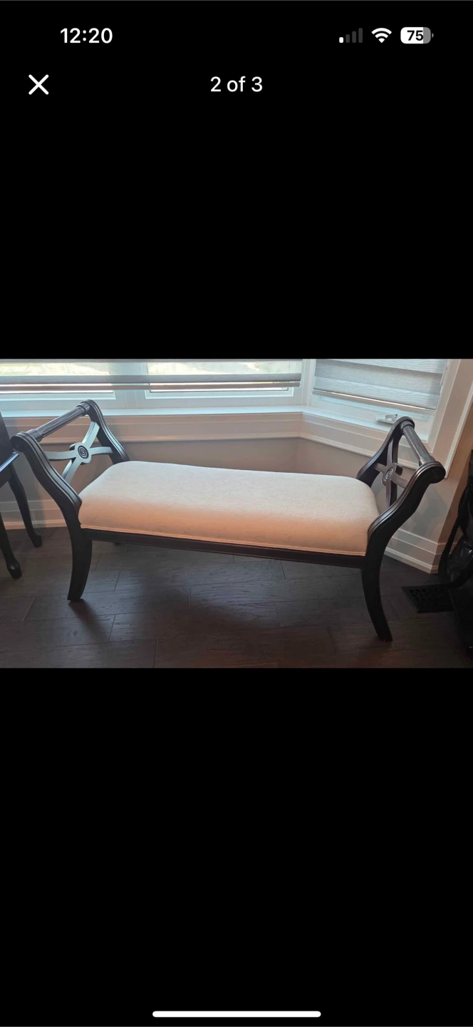 Elegant Bench with Dark Wood Frame