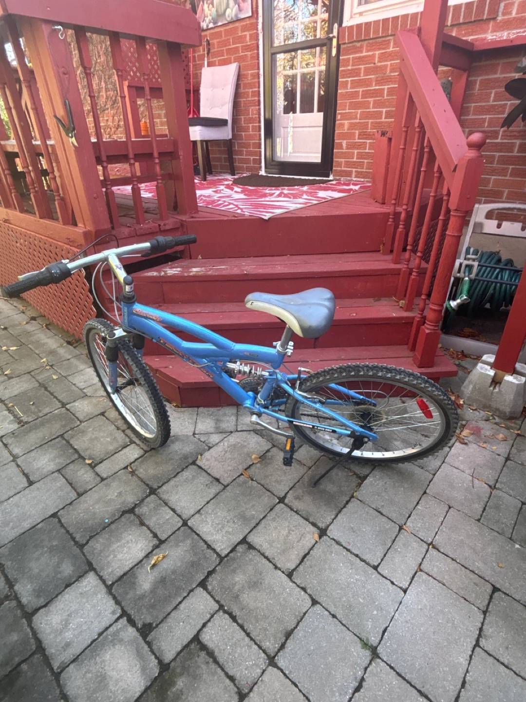 Blue Mountain Bike