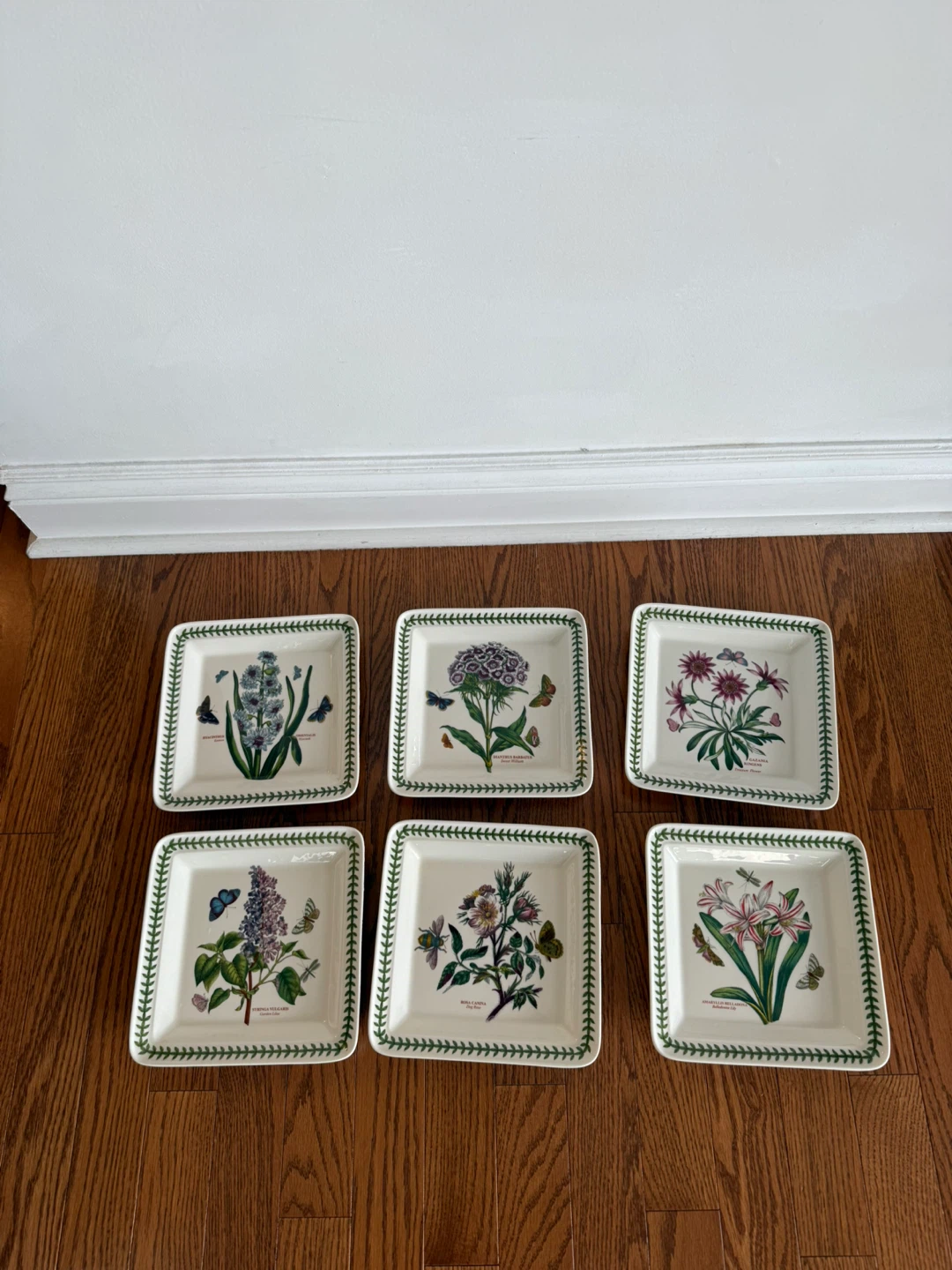 Portmeirion Botanic Garden Square Salad Plates