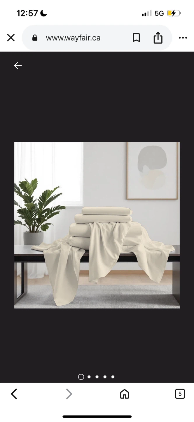 New King Size Wayfair Sheet Set - Neutral Tone