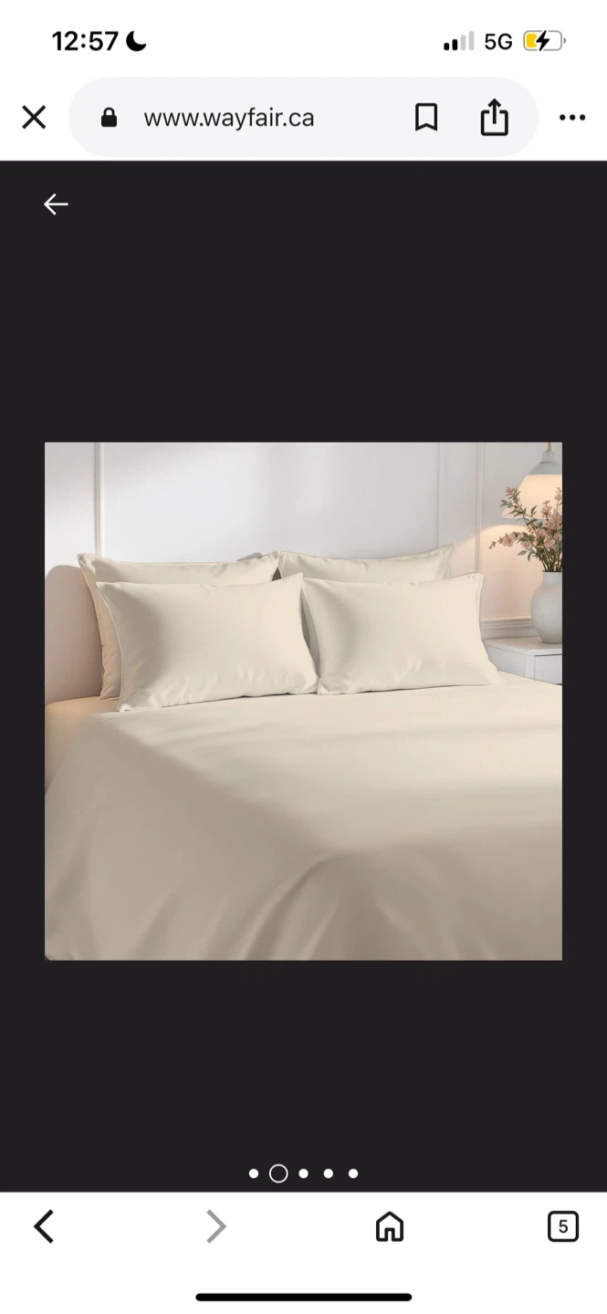 New King Size Wayfair Sheet Set - Neutral Tone - photo 2