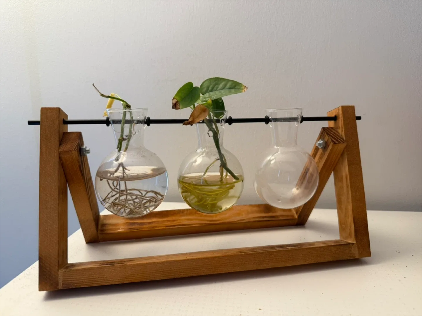 Hyindoor Vintage Bulb Vase with Wooden Stand thumbnail