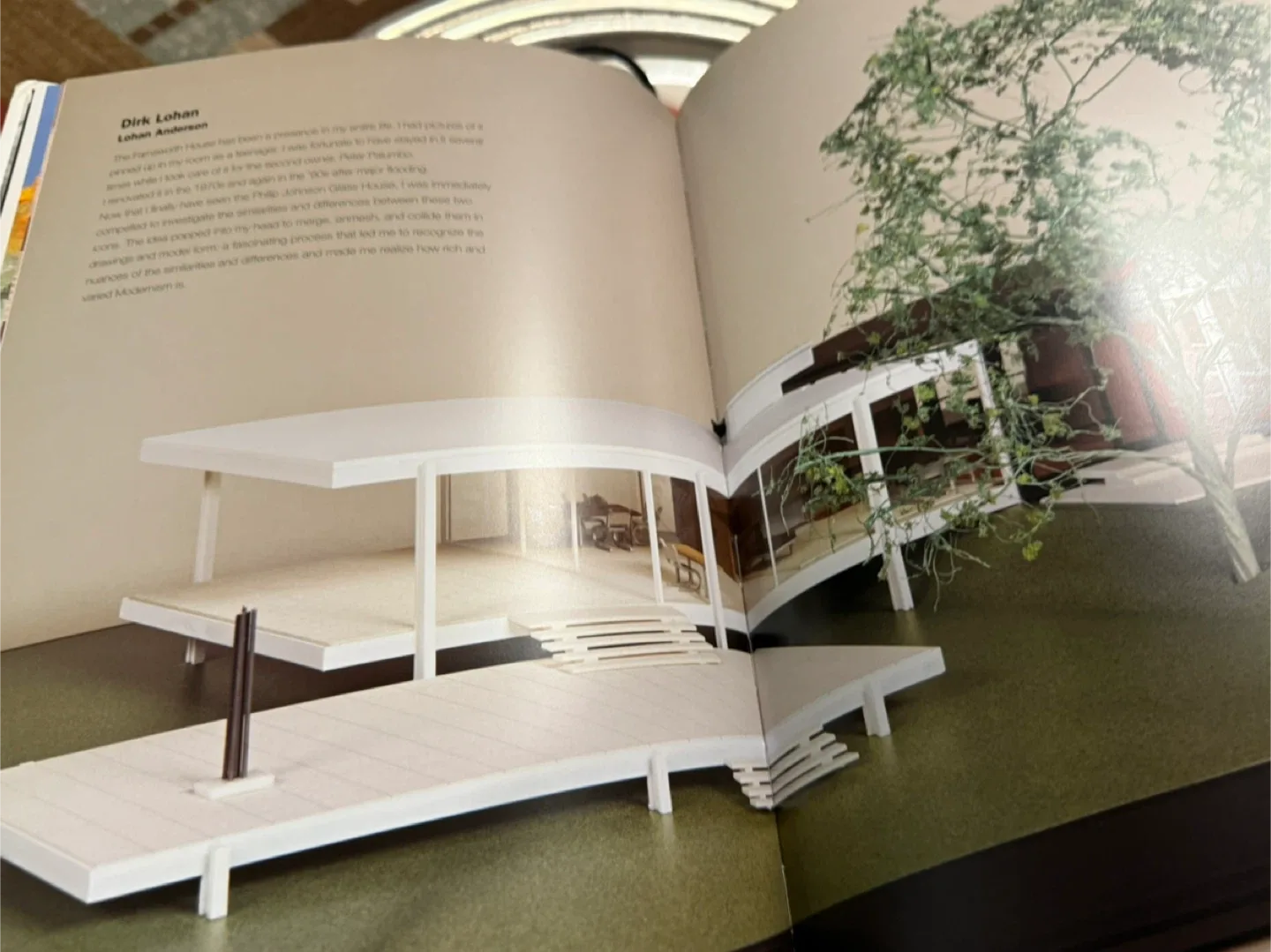 Modern Views by Assouline image indicator(7)